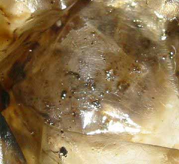 オイルに混入した摩耗粉