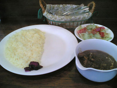 �K���o�[�̃J���[