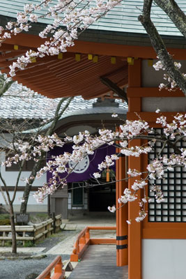 �Ɣn���̍�