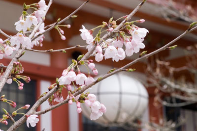 �Ɣn���̍�