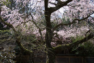 �����_��