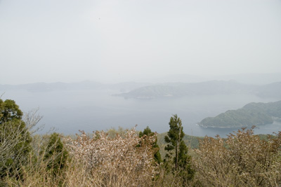 �G���[�����C������̒���