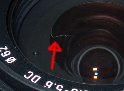 �����Y�ɓ������ق���