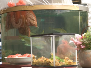 �l�V�̐�����