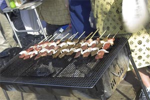 �Ԗ��̗��E����