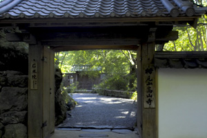 ���R���ΐ��@