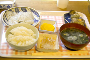 �C�J�Ă���H