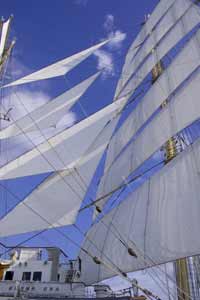 ���̓��{��