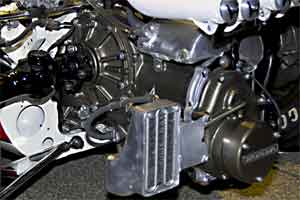 �I�C���N�[��