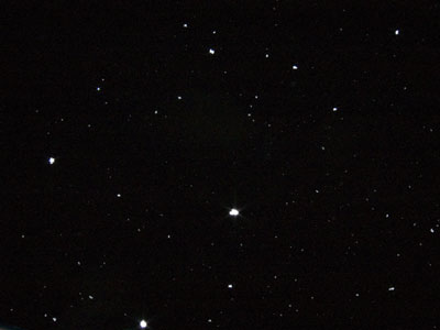 �󂩂痎�����