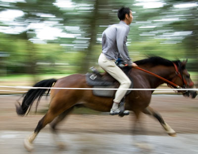 ���L�n���K