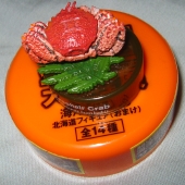 �уK�j�̃t�B�M���A