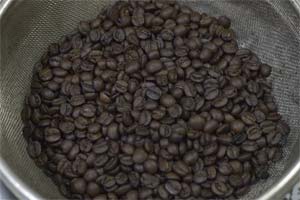 �Ă��オ�����C�G���[�u���{��